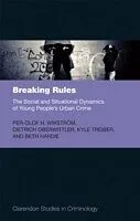 E-Book (epub) Breaking Rules: The Social and Situational Dynamics of Young People's Urban Crime von Per-Olof H. Wikström, Dietrich Oberwittler, Kyle Treiber