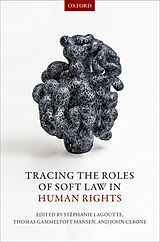 eBook (epub) Tracing the Roles of Soft Law in Human Rights de 