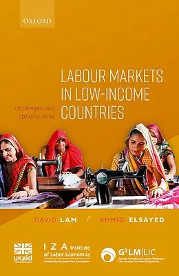 E-Book (epub) Labour Markets in Low-Income Countries von David Lam, Ahmed Elsayed