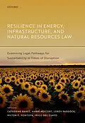 ePUB Resilience in Energy, Infrastructure, and Natural Resources Law von Unknown