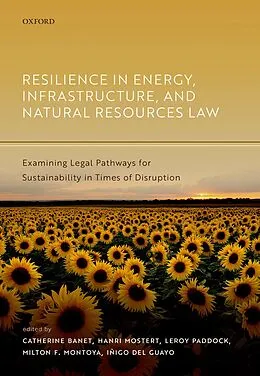 E-Book (epub) Resilience in Energy, Infrastructure, and Natural Resources Law von Unknown