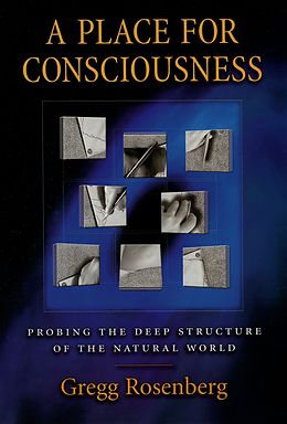 E-Book (pdf) A Place for Consciousness von Gregg Rosenberg