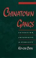 E-Book (pdf) Chinatown Gangs von Ko-Lin Chin