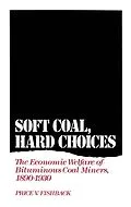 E-Book (pdf) Soft Coal, Hard Choices von Price V. Fishback