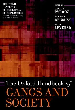 E-Book (pdf) The Oxford Handbook of Gangs and Society von John Leverso