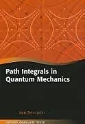 Kartonierter Einband Path Integrals in Quantum Mechanics von Zinn-Justin Jean