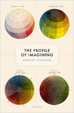 eBook (pdf) The Profile of Imagining de Robert Hopkins