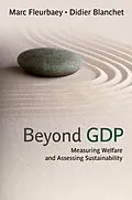 E-Book (pdf) Beyond GDP von Marc Fleurbaey, Didier Blanchet