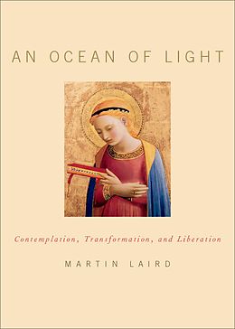 eBook (pdf) An Ocean of Light de Martin Laird