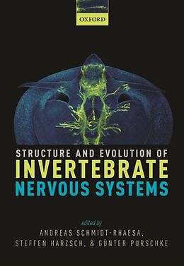 Livre Relié Structure and Evolution of Invertebrate Nervous Systems de Andreas Schmidt-Rhaesa, Steffen Harzsch, Günter Purschke