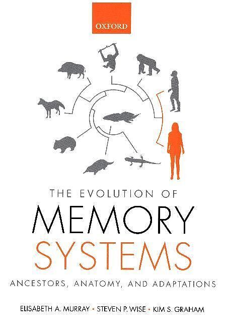 The Evolution of Memory Systems