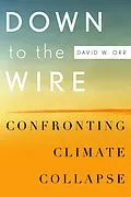 ePUB Down to the Wire von David W. Orr