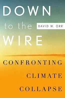 ePUB Down to the Wire von David W. Orr