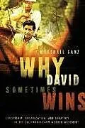 Kartonierter Einband Why David Sometimes Wins von Ganz Marshall