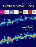 E-Book (pdf) Neurobiology of Mental Illness von Dennis S. Charney, Eric J. Nestler
