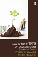 eBook (epub) Law in the Pursuit of Development de 