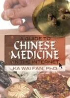 E-Book (pdf) Guide to Chinese Medicine on the Internet von Ka Wai Fan