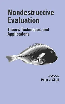 E-Book (pdf) Nondestructive Evaluation von Peter J. Shull
