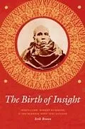 E-Book (epub) The Birth of Insight von Erik Braun