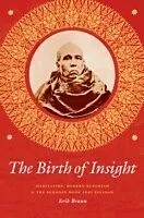 E-Book (epub) The Birth of Insight von Erik Braun