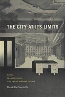 E-Book (pdf) City at Its Limits von Daniella Gandolfo