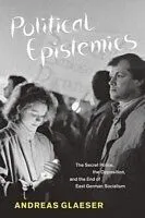 E-Book (pdf) Political Epistemics von Andreas Glaeser
