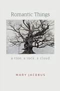 E-Book (epub) Romantic Things von Mary Jacobus