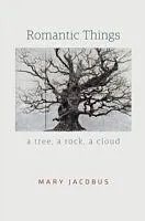 E-Book (epub) Romantic Things von Mary Jacobus