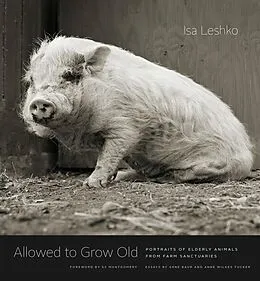 E-Book (pdf) Allowed to Grow Old von Leshko Isa Leshko