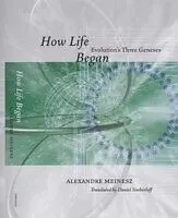 E-Book (pdf) How Life Began von Alexandre Meinesz