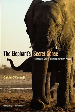 Kartonierter Einband The Elephant's Secret Sense: The Hidden Life of the Wild Herds of Africa von Caitlin O'Connell