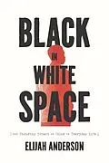E-Book (epub) Black in White Space von Anderson Elijah Anderson