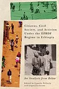 E-Book (epub) Citizens, Civil Society, and Activism under the EPRDF Regime in Ethiopia von Unknown