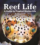 Kartonierter Einband Reef Life von Michael Scott