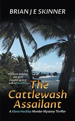 E-Book (epub) The Cattlewash Assailant (Shandwick Trust, #4) von Brian J. E. Skinner