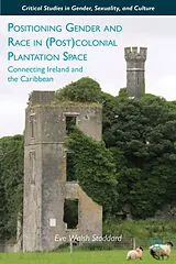 Fester Einband Positioning Gender and Race in (Post)colonial Plantation Space von E. Stoddard