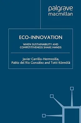 E-Book (pdf) Eco-Innovation von Javier Carrillo-Hermosilla, P. del Río González, Totti Könnölä