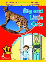 Broschiert Macmillan Children''s Readers Big and Little Cats Level 3 von Coleen Degnan-Veness