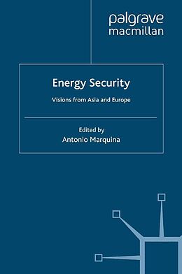 eBook (pdf) Energy Security de 