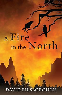 E-Book (epub) A Fire in the North von David Bilsborough