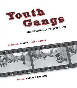 E-Book (pdf) Youth Gangs and Community Intervention von 