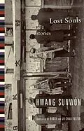 E-Book (epub) Lost Souls von Sunwon Hwang