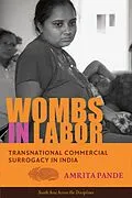 E-Book (epub) Wombs in Labor von Amrita Pande