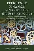 E-Book (pdf) Efficiency, Finance, and Varieties of Industrial Policy von 