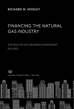 eBook (pdf) Financing the Natural Gas Industry de Richard W. Hooley