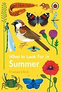 E-Book (epub) What to Look For in Summer von Elizabeth Jenner
