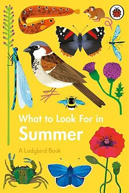 E-Book (epub) What to Look For in Summer von Elizabeth Jenner