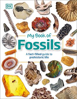 eBook (epub) My Book of Fossils de Dean R. Lomax