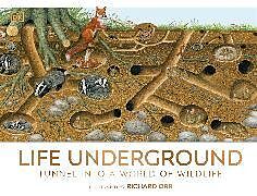 Livre Relié Life Underground de DK