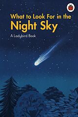 eBook (epub) What to Look For in the Night Sky de Jiatong Liu